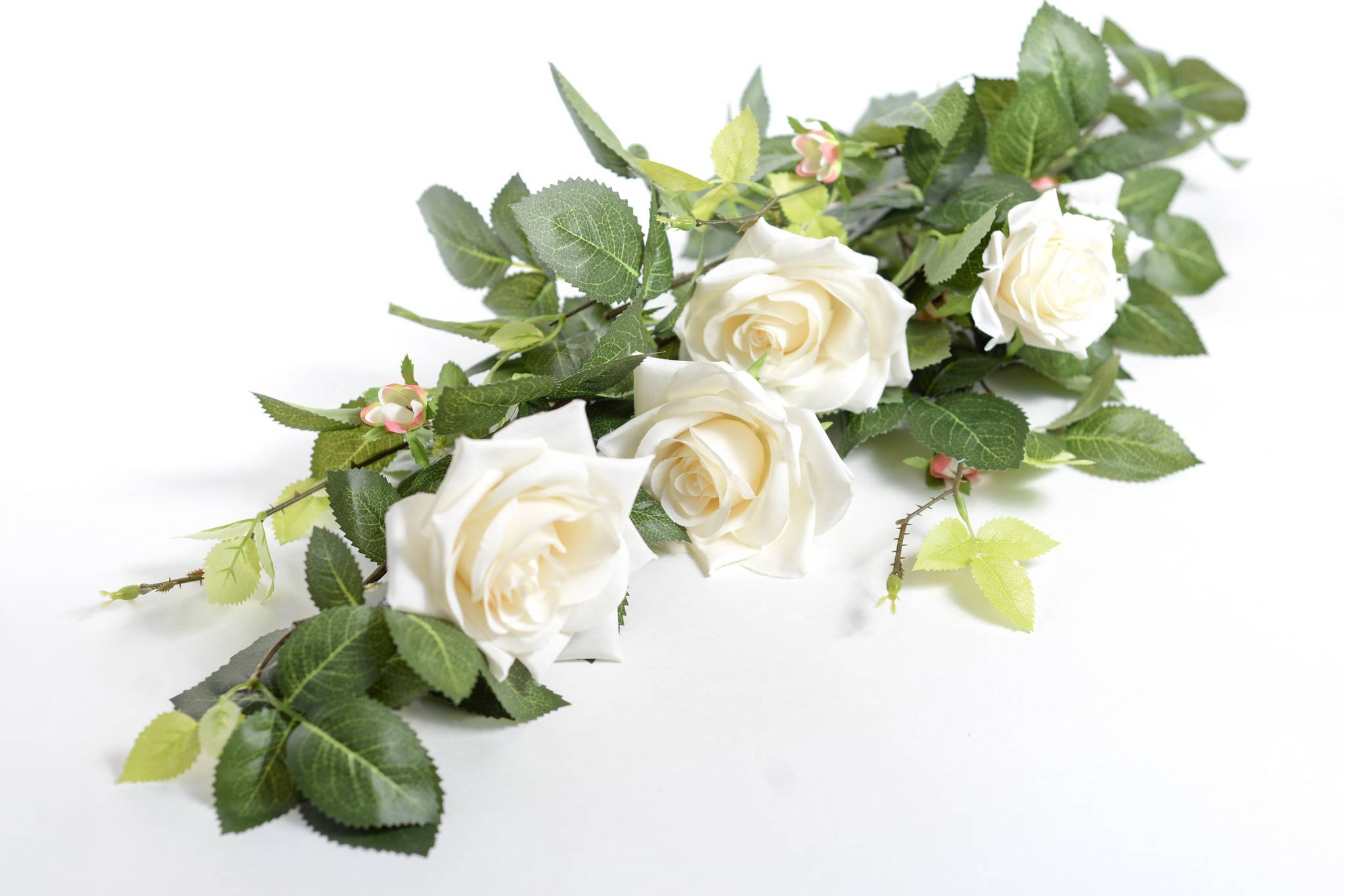 Белые кустовые розы